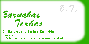 barnabas terhes business card